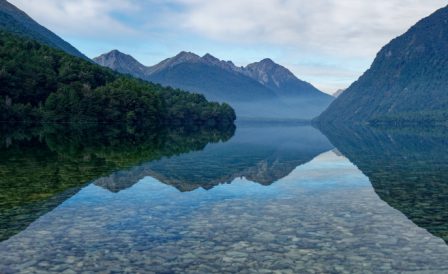 Director of International Relations