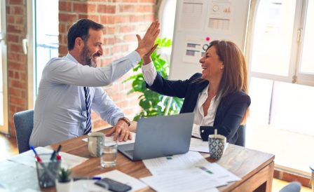 Professional Immigration to Ireland