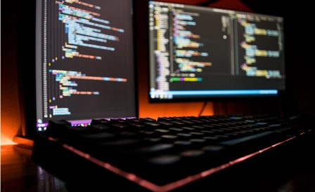 Training and immigration to New Zealand for IT professionals