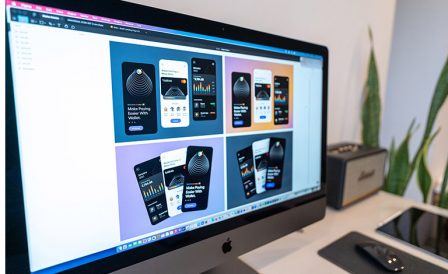 Training and immigration to New Zealand for designers and animators