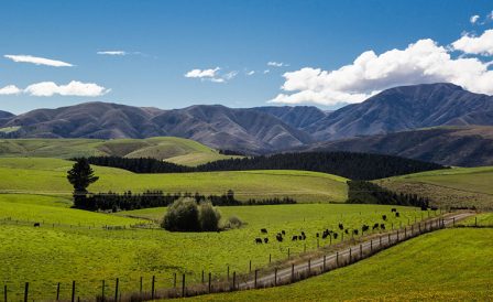 Life In New Zealand: Pros & Cons