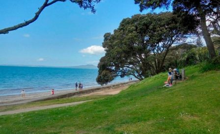 Answers to your questions about moving to New Zealand