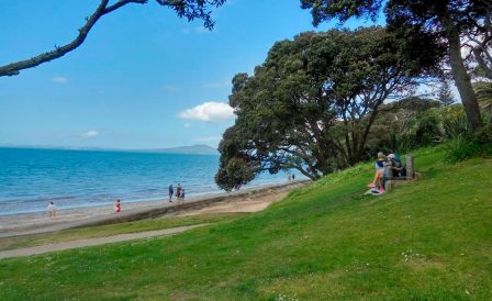 Interim Visa In New Zealand