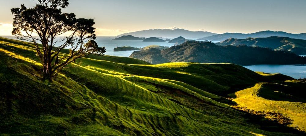 Nature of New Zealand