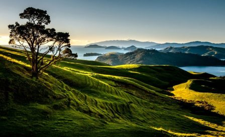 Nature of New Zealand