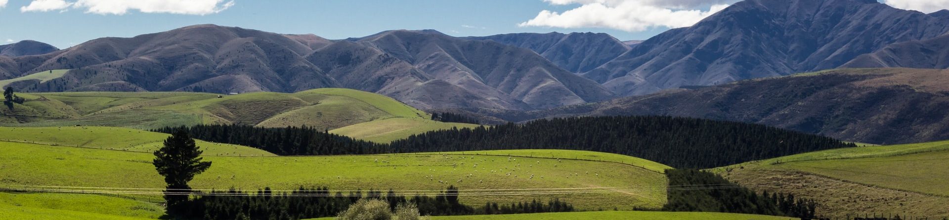Understanding New Zealand culture helps find a job