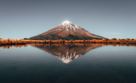 2022 Specials from WITT Taranaki