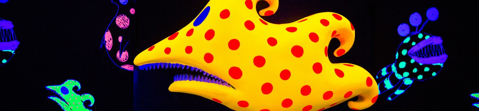 30% discount at Media Design School