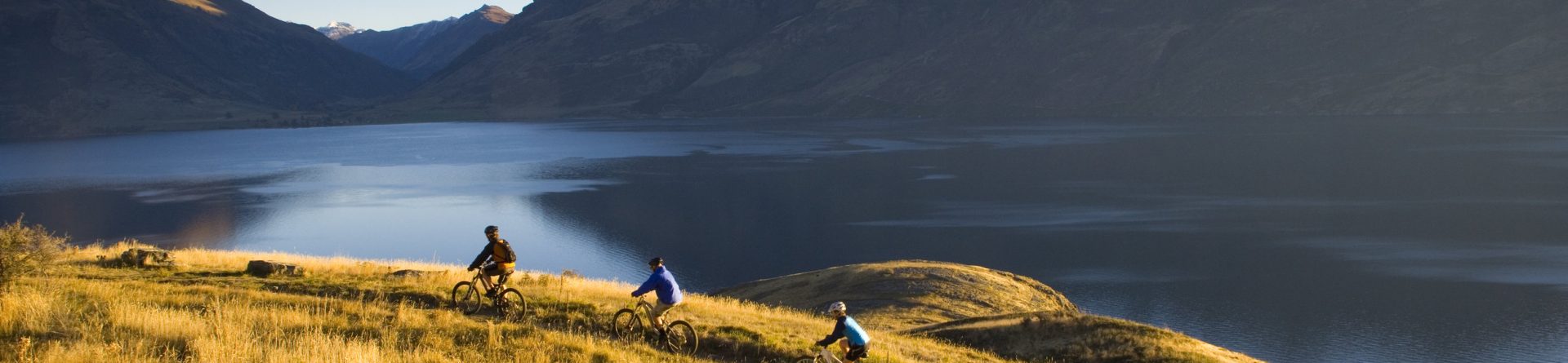 Why New Zealand