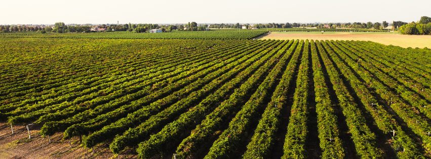 Education and Immigration to New Zealand for Farmers