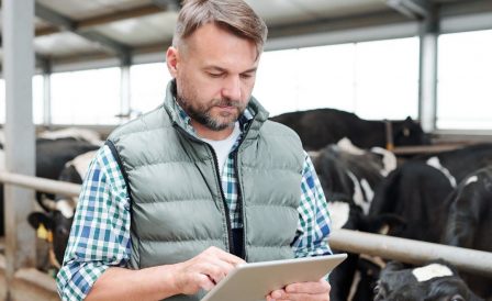 Education and Immigration to New Zealand for Farmers