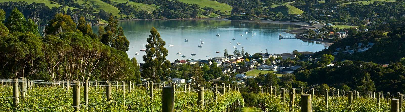Winemaking in New Zealand: Study and Migration Pathways