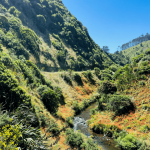 Stanislav’s Story: Studying at Whitireia & WelTec and Life in Wellington