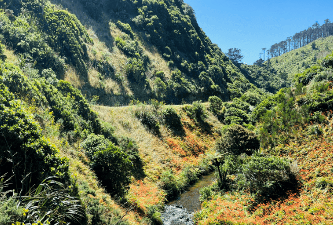 Stanislav’s Story: Studying at Whitireia & WelTec and Life in Wellington