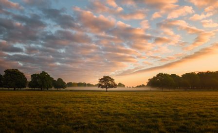 The Geography and Climate of the United Kingdom
