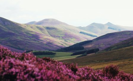 Why the United Kingdom