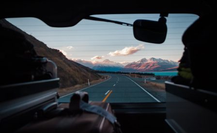 Top-5 best marketing programs in New Zealand