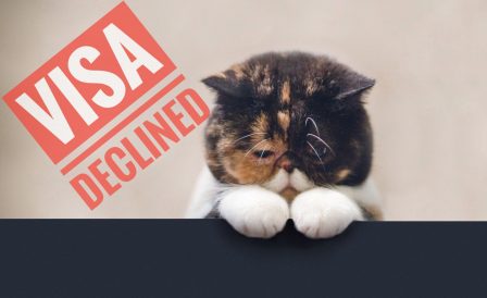Visa Declines