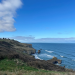 Manarsha’s Story: Studying English at Otago Polytechnic in Dunedin