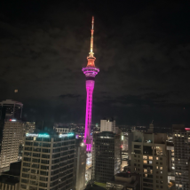 Pavel’s Story: IELTS Preparation and NZCEL Level 5 at ICL in Auckland