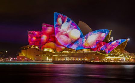 Study and move to Australia with Kiwi Education