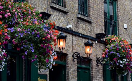 Special offers from Cork English College