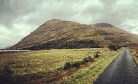 Ireland eased entry requirements